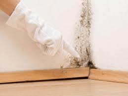 Best Commercial Mold Inspection  in Mountain View Acres, CA